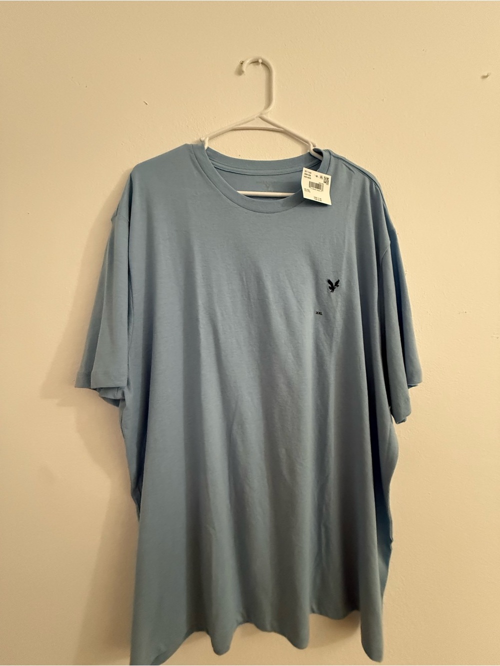 American Eagle Outfitters Light Blue Crew Neck T-Shirt with Eagle Logo